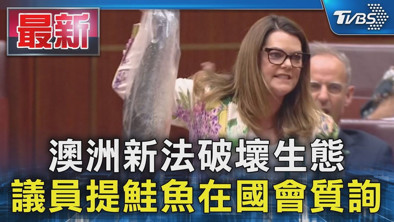 澳洲新法破壞生態 議員提鮭魚在國會質詢｜TVBS新聞 @TVBSNEWS01