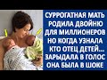 Суррогатная мать родила двойню для миллионеров. Но когда она узнала, кто отец близнецов...