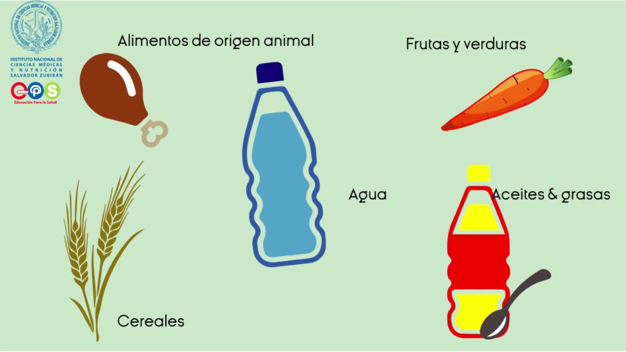 Realice 5 comidas al día - INCMNSZ - Educación para la salud
