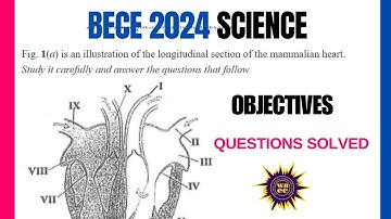 BECE 2024 SCIENCE OBJECTIVES QUESTIONS WITH ANSWERS EASY TO UNDERSTAND – PART 1