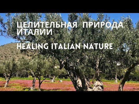 Целительная Сила природы|HEALING Nature