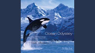 Ocean Odyssey