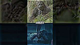 Gigantopithecus vs Achillobator #vsbattle #scaling #dinosaur #edit #fyp 