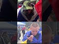 Россия и Украина провели масштабный обмен военнопленными