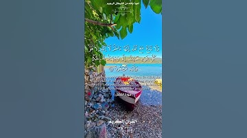 📚 القرآن الكريم 📚 ما تيسر من سورة القصص.