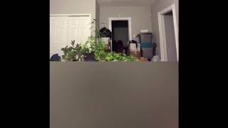 Periscope Madness Vi