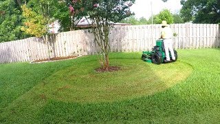 How NOT To Cut Grass | Scalping The Lawn | Saint Augustine Grass