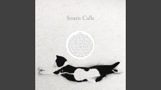 Cool Cat