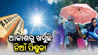 Extreme heat in Odisha, red alert issued to 11 districts for today || KalingaTV