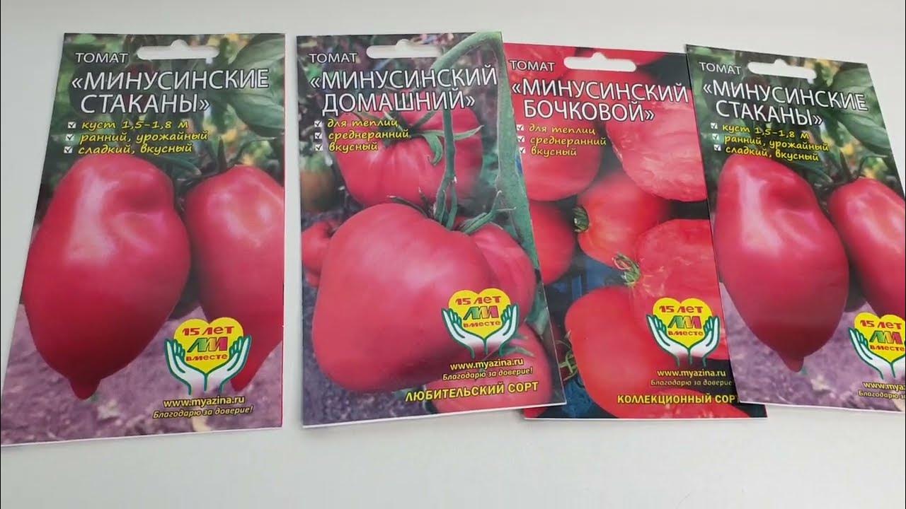 Томат - Минусинский медведь . - YouTube