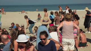 Slibstream, a story of wind and clay