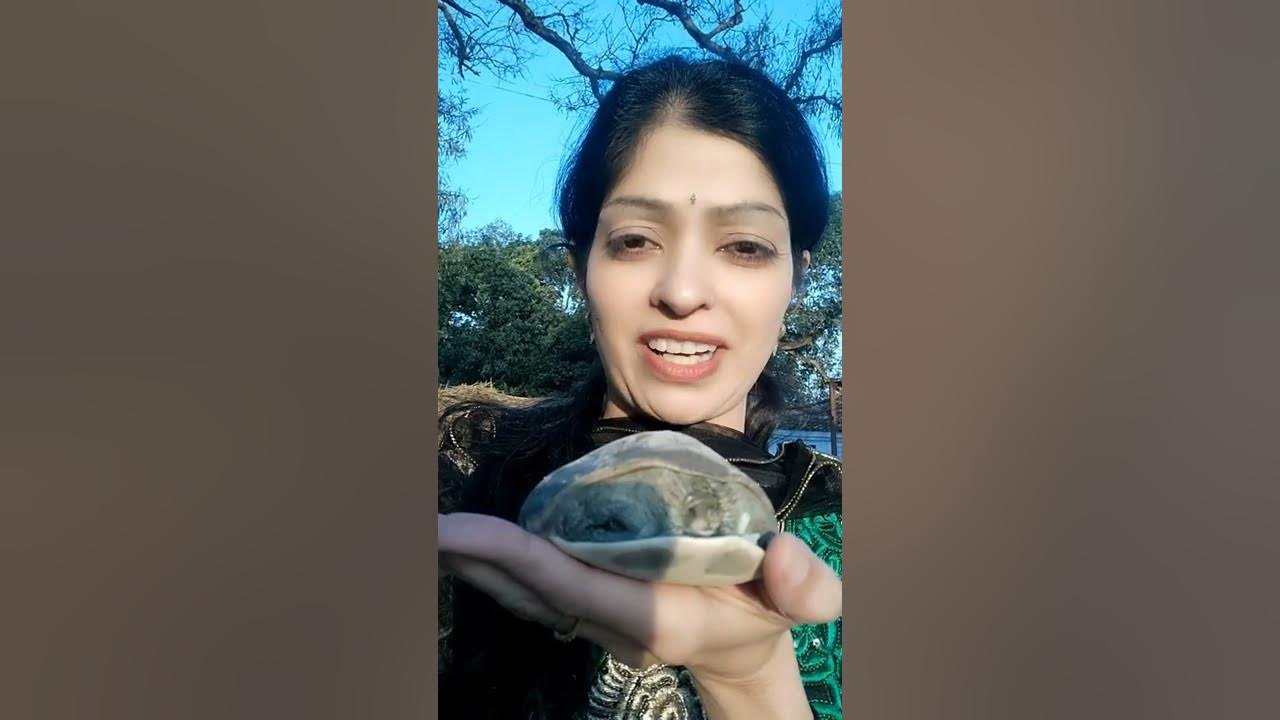 kashyap-gotra-tortoise-is-a-blessing-for-kashyap-gotra-blessing