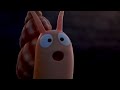 The Snail The Whale