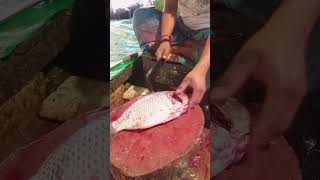 Amazing Big Tilapia Fish Cutting Skills Live In Fish Market shorts