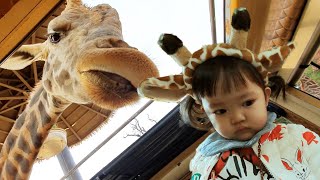 [SUB] A Korean child's reaction after meeting animals she only saw from books. 🦒