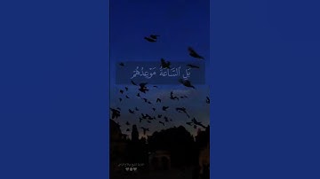 القارئ صلاح الباجي ...... سيهزم الجمع ويولون الدبر