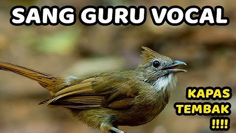 MASTERAN KATEM GACOR ROLL PANJANG❗️KAPAS TEMBAK GACOR LAGU DAN SPEED PAS BUAT PANCINGAN MASTERAN