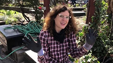 RING Garden How-To: Sift Compost