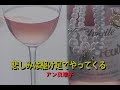 (カラオケ)悲しみは駈け足でやってくる / アン真理子