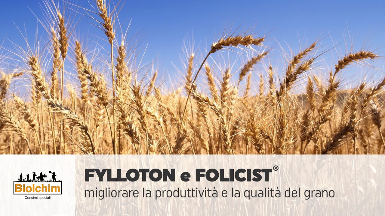 Fylloton 1 lt Biolchim Biostimolante Biopromotore della crescita - SA