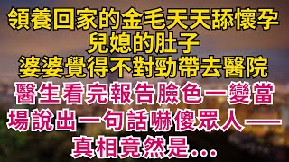 |人生故事|領養回家的金毛天天舔懷孕兒媳的肚子,婆婆覺得不對勁帶去醫院,醫生看完報告臉色一變,當場說出一句話嚇傻眾人——真相竟然是...#淺談人生 #民間故事 #情感故事 #真實事件 #家庭故事