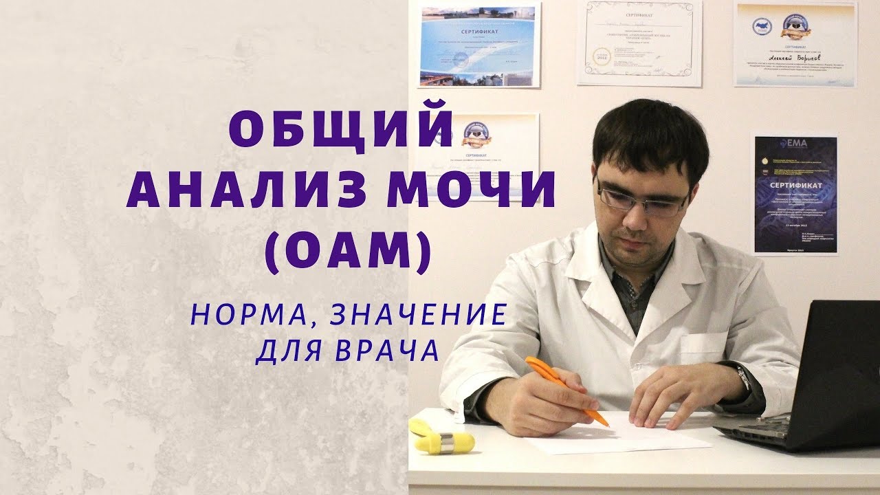 если в моче много белка