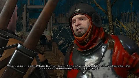 تحميل ウィッチャー3 森の怪物