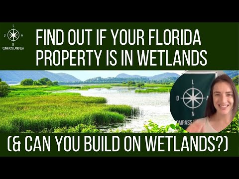Video: Tài sản được miễn Florida Chứng thực là gì?