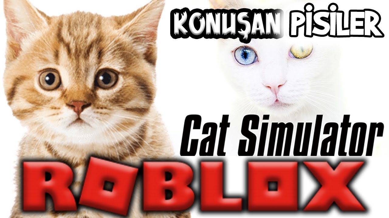 Konusan Pisiler 61 En Komik Kedi Videolari Youtube