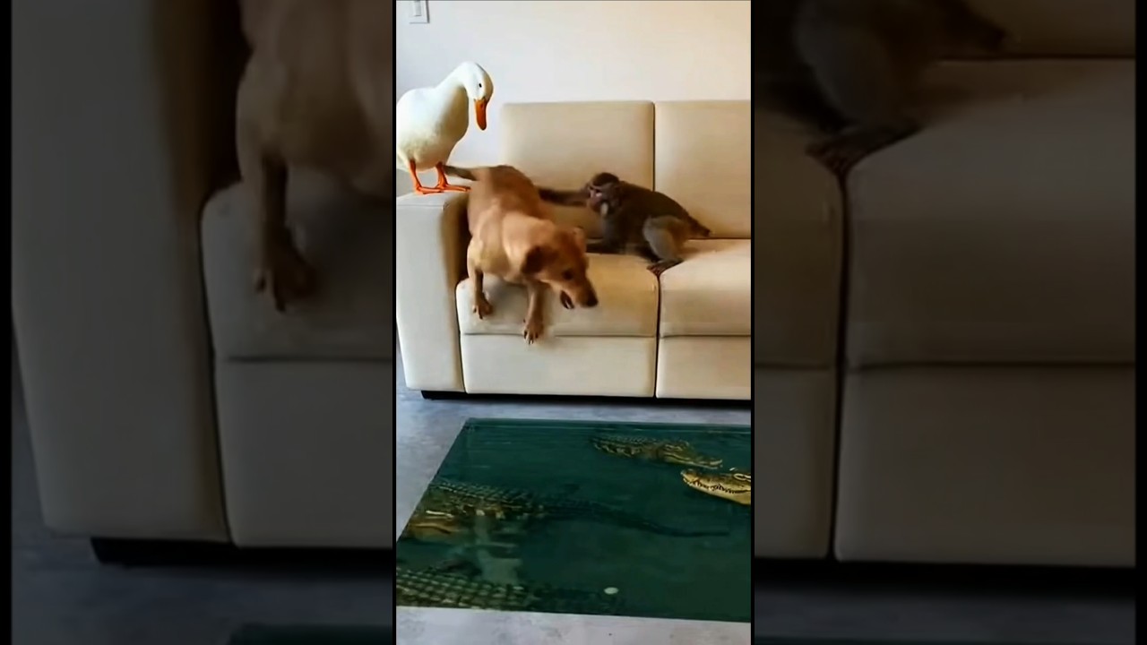 Her reaction is absolutely priceless! 😱✨