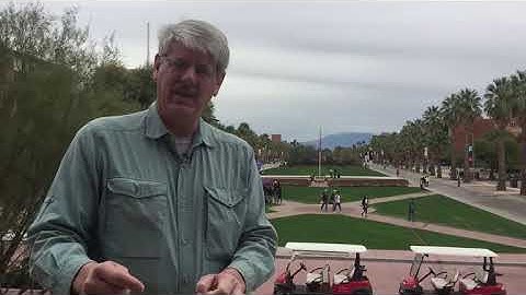 Edge of Extinction: Distractions, Distractions