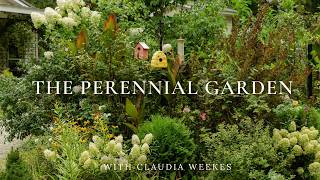 A Gardener Who Finds Peace in the Details of Summer