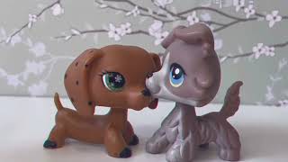 LPS Mini MEP Pack!