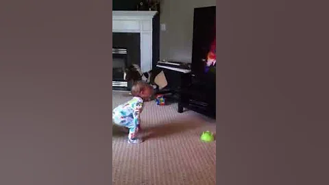 Rainbow connection dance