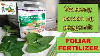 How Foliar fertilizer works (Tamang Pagaabono ng foliar fertilizer) : Agrigabay