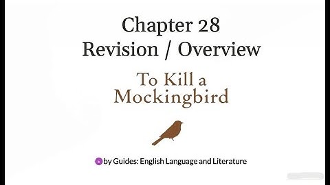 To Kill a Mockingbird: Chapter 28 Breakdown (Revision / Overview)