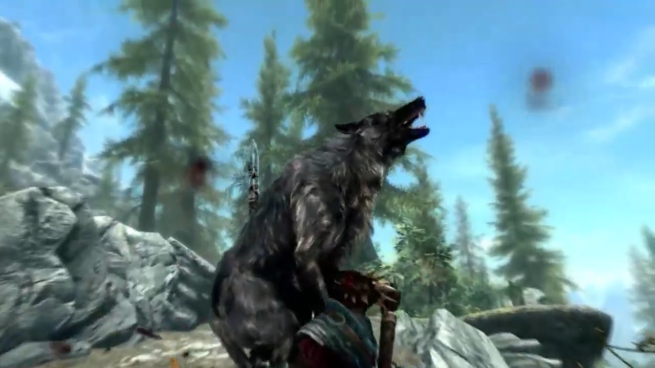 По следам Маркиплиера 