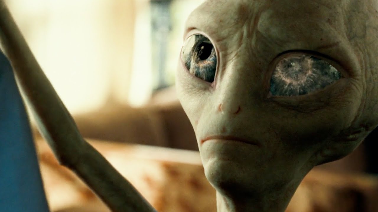 Paul The Alien Escapes The F.B.I | Paul (2011) - YouTube