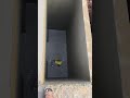 Septic Tank Work done 👍👍#reels #house #construction #vlog #videoshort #youtubeshort #reels #viral