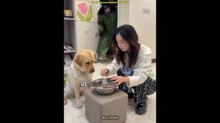 She Regretted Pranking Her Dog After This Happened! 🐕😭 #Shorts #Regret #SadStory