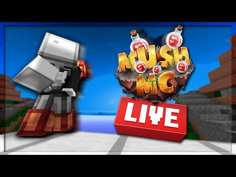 LIVE - JP E MCFLY JOGANDO MINIGAMES COM INSCRITOS NO MINECRAFT ! 