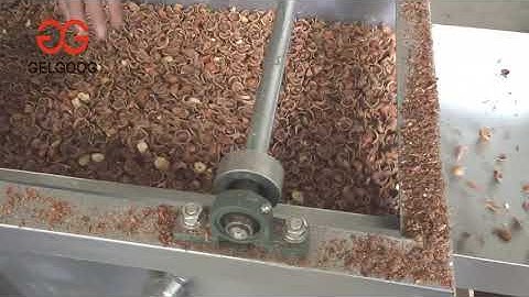 Hazelnut Shell Cracking And Separating Machine From Cara@machinehall.com 008613015518550