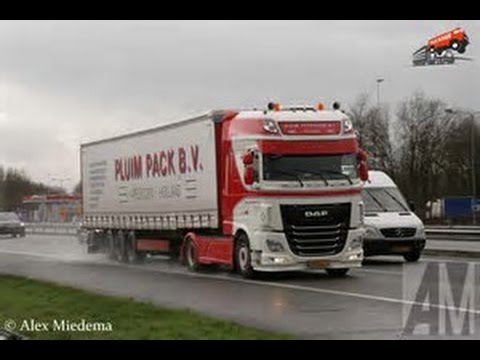 DAF XF PLUIM TRANSPORT BV