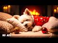 24 Hours of Relaxing Music🐶🎅Deep Sleep Puppy Calm Music🐶🎵Dog Separation Anxiety Music #dogmusic