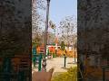 Kaptanganj Park ka mast view 😍 | Full Vlog #deepuvlogs #villagevlog