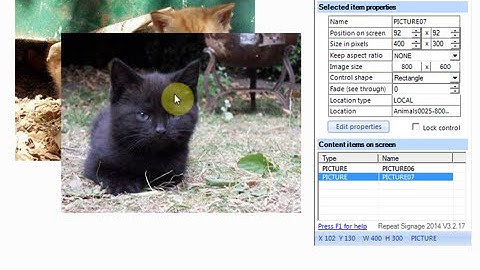 Z ordering controls in the Repeat Signage Designer