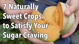 7 Naturally Sweet Crops to Grow in Your Vegetable Garden screenshot 5