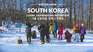 South Korea 2024, Winter Snow Walking Tour, nearby SEOUL. Seoul Travel Walker. by Seoul Travel Walker 2,844 views 4 months ago 23 minutes