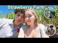 Taking my gf on a surprise date  strawberry picking  farm tour