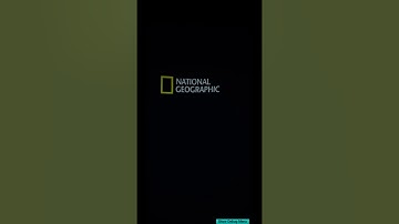 Merging 360VR Media with AR using Unreal and ARCore on Android